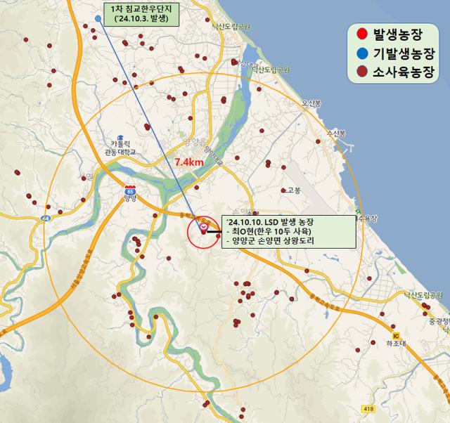 NSP통신-럼피스킨 발생 농장. (이미지 = 양양군)