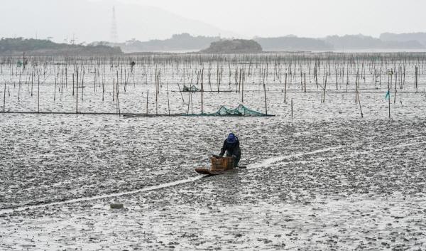 NSP통신-순천갯벌 뻘배어업 모습 (사진 = 순천시)