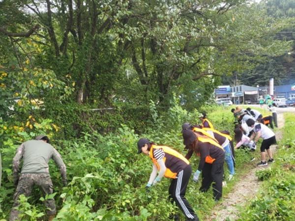 NSP통신-생태계 교란 야생식물 제거 작업 모습 (사진 = 파주시)