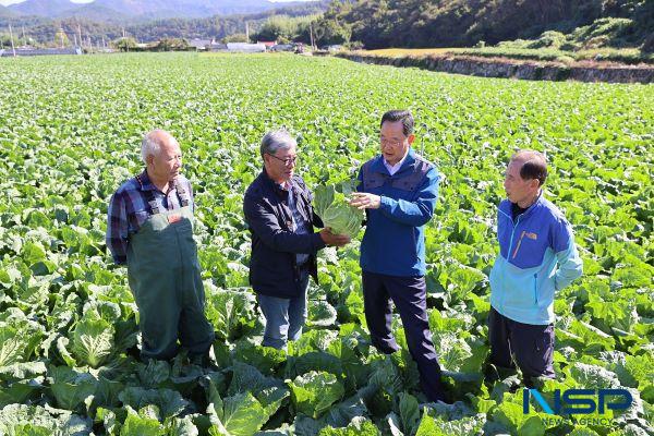 NSP통신-배추 생육상황 현장 점검하고있다 (사진 = 해남군)