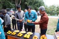 [NSP PHOTO]우승희 영암군수, 청년농업인 단감 재배 농가 찾아