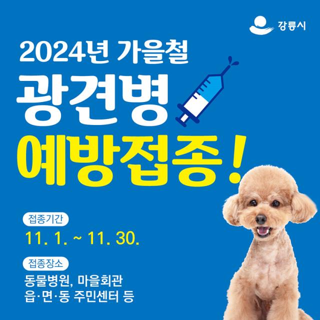 NSP통신-가을철 광견병 예방접종 안내문. (이미지 = 강릉시)