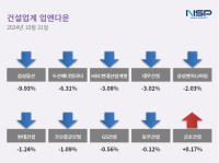[NSP PHOTO][업앤다운]건설주 하락…금호건설↑·삼성물산↓