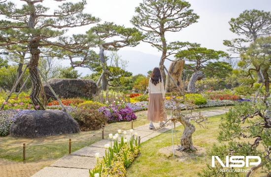 NSP통신-오랜 세월을 품은 플라타너스와 소나무가 돋보이는 반야원 (사진 = 구례군청)