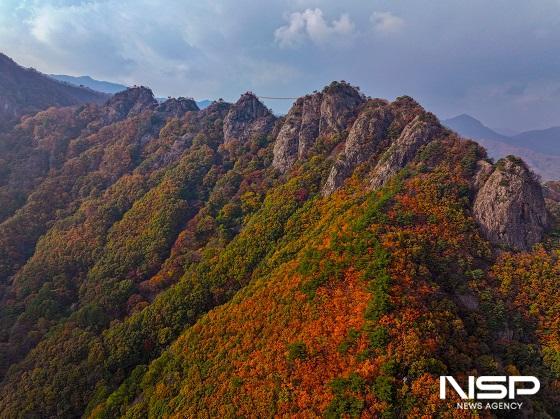 NSP통신-가을빛으로 물든 구봉산을 드론으로 촬영한 사진(멀리 4봉과 5봉을 잇는 구름다리가 보인다) (사진 = 진안군)