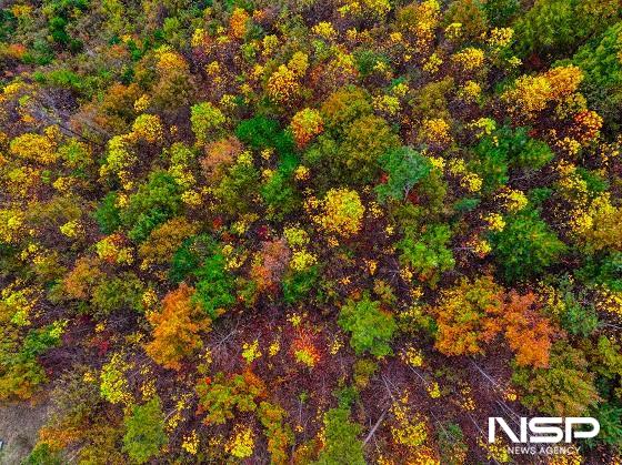 NSP통신-운장산 일원에서 드론으로 촬영한 사진으로 형형색색으로 물든 가을 단풍이 짙은 가을의 정취를 느끼게 한다. (사진 = 진안군)