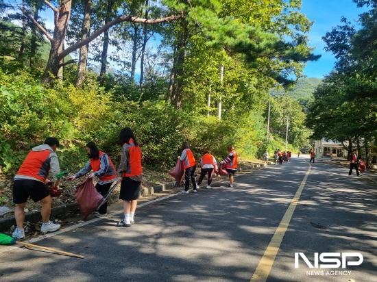 NSP통신-백운산 둘레길 주변 낙엽과 칡넝쿨 제거 (사진 = 광양시청)