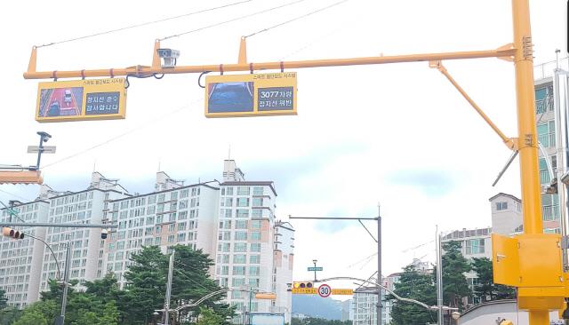 -용인특례시가 내년 초 어린이보호구역 3곳에 정지선 위반 알림 시스템을 도입한다 사진 용인특례시