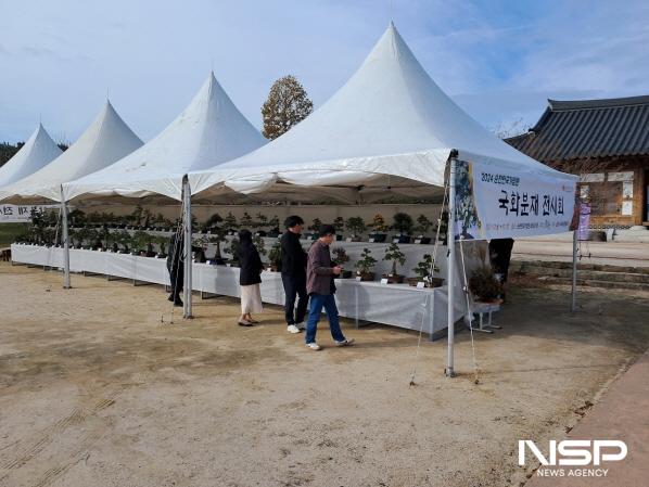 NSP통신-2024년 순천만국가정원 국화분재 전시회 개최 (사진 = 순천시)