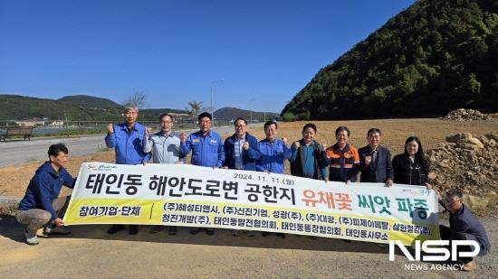 NSP통신-태인동 해안도로변 공한지 유채 씨앗 파종 기념 찰영 (사진 = 광양시청)