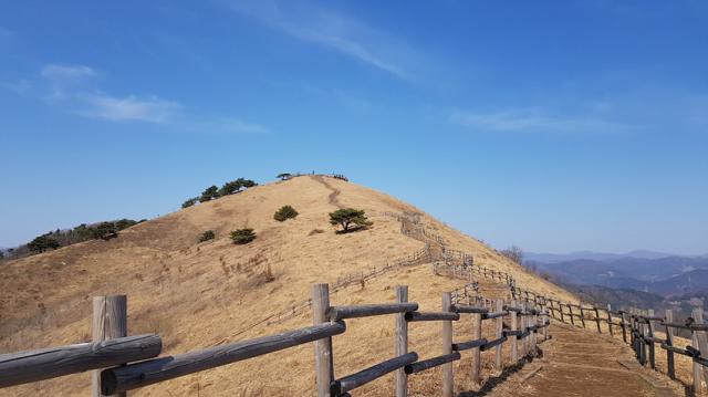 NSP통신-민둥산 전경. (사진 = 정선군)