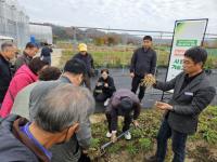 [NSP PHOTO]영주시, 잔대 우량종근 생산 기술교육 및 종근 분양행사 열어