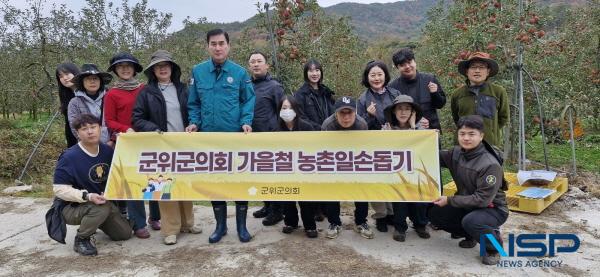 NSP통신-군위군의회는 지난 14일 가을철 사과 수확기를 맞아 농촌인구 감소 및 고령화 등으로 인력수급이 어려운 농가를 방문해 가을철 농촌일손돕기 활동을 실시했다. (사진 = 군위군의회)