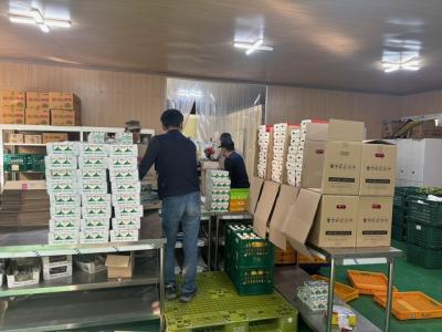 [NSP PHOTO]오산시보건소 영양플러스 배송업체 위생점검교육 실시