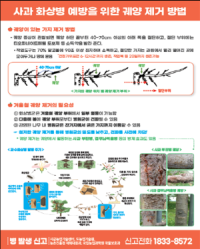 [NSP PHOTO]광양시, 화상병 사전예방을 통해 건전한 과원 관리 당부