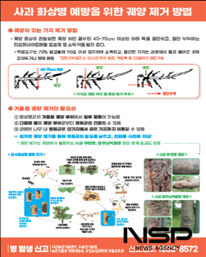 NSP통신-사과 궤양제거 방법 (사진 = 광양시청)