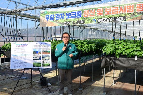 NSP통신-봉화 골든에그 기반조성으로 경쟁력 제고, 우량 감자 보급종 생산 및 보급시범 평가회 개최 (사진 = 봉화군)