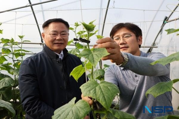 NSP통신-칠곡군은 지난 20일 김재욱 군수가 왜관읍 내 시설원예 농가를 방문해 농업 현장의 애로사항을 청취하고 농업 발전 방안을 모색했다고 밝혔다. (사진 = 칠곡군)