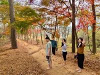 [NSP PHOTO]보성군, 지속 가능 도시 숲 치유 도시 단계별 조성 박차