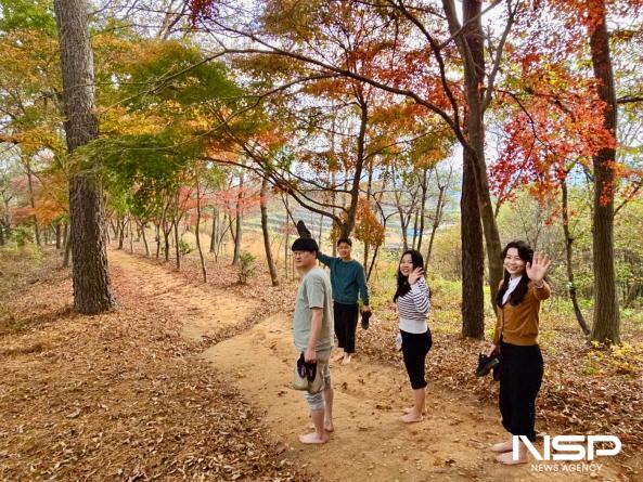 NSP통신-보성군 주민들이 관주산 산책길을 맨발로 산책을 하고 있다 (사진 = 보성군)