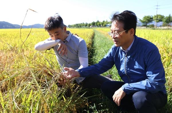 NSP통신-강진원 강진군수(사진 오른쪽)가 벼멸구 피해 현장을 찾아 농업인의 애로사항을 듣고 있다. (사진 = 강진군)