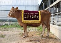 [NSP PHOTO]경북 한우, 전국한우경진대회에서 대통령상 수상