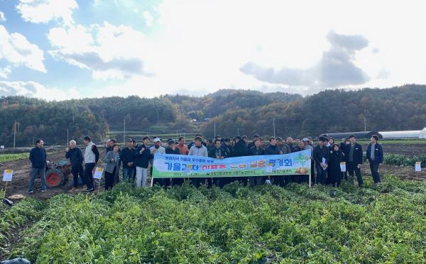 NSP통신-보성군은 회천면 전일리에서 신품종 감자 육성 가을 실증시험 현장 평가를 시행했다 (사진 = 보성군)