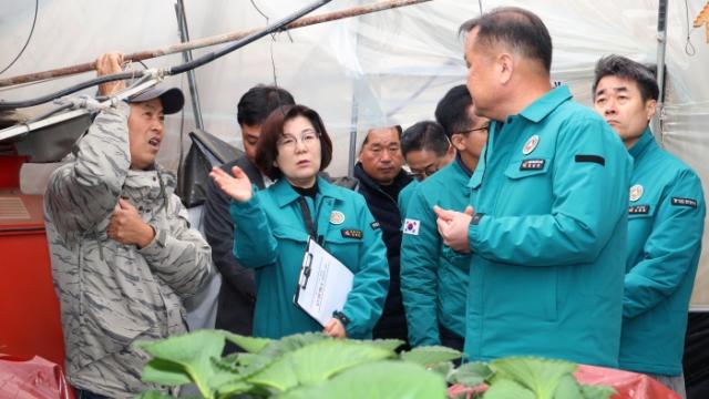 NSP통신-폭설로 피해를 입은 경기 안성시 딸기 재배 피해농장에 방문한 김보라 안성시장이 피해 농장 관계자와 이야기를 하고 있다. (사진 = 안성시)