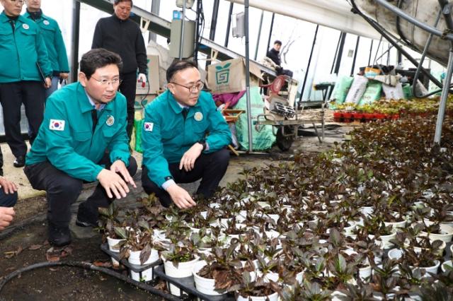 NSP통신-이상일 용인특례시장이 1일 이한경 행정안전부 차관과 폭설 피해를 입은 처인구 남사읍 진목리 화훼농가 현장을 점검하고 있다. (사진 = 용인특례시)