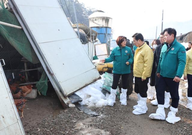 NSP통신-2일 오전 김동연 도지사가 김보라 안성시장, 윤종근 국회의원 등과 함께 양계장 대설 피해지역을 현장 방문해 피해 현장을 확인하고 있다. (사진 = 경기도)