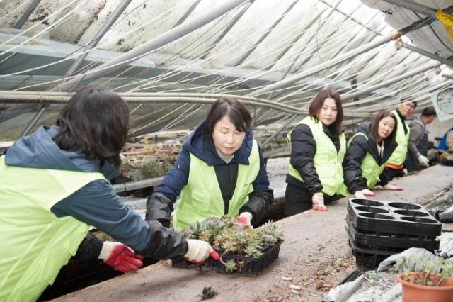 NSP통신-용인특례시의회가 지난달 29일 오후 남사읍 원암리에 있는 화훼농가를 방문해 폭설 피해 복구를 위한 지원에 나섰다. (사진 = 용인특례시의회)