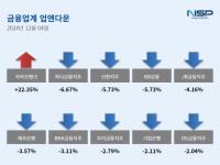 [NSP PHOTO][업앤다운]계엄령 후폭풍 은행주 하락…카카오뱅크↑·신한지주↓