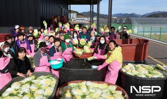 NSP통신-배추 절이기 (사진 = 광양농협)