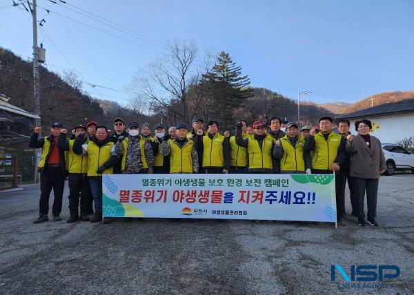 NSP통신-김천시는 지난 4일 증산면 수도산 일원에서 야생생물관리협회 김천시지회 회원들이 참석한 가운데 멸종위기종 보호를 위한 공존문화 조성 캠페인을 실시하고 불법 사냥도구 수거 활동을 펼쳤다. (사진 = 김천시)