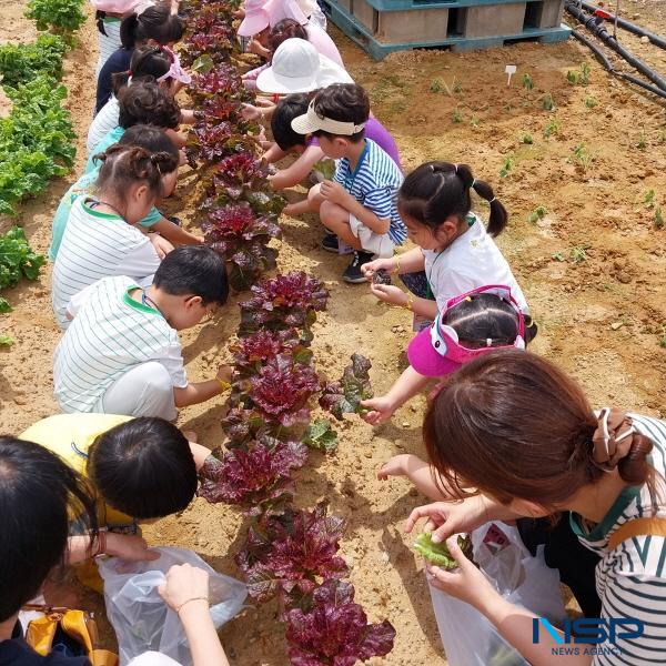 NSP통신-대구광역시는 시민에게 양질의 독서문화와 생활환경을 제공해 2024년 전국 도서관 평가에서 4개 분야 5개의 기관 표창을 수상했다. 고산도서관(농업체험) 모습 (사진 = 대구광역시)
