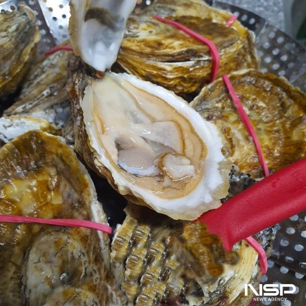 NSP통신-고흥군은 해수부에서 주관한 친환경 개체굴 공동생산시설 공모사업에 선정돼 총사업비 20억 원(국비 10억 원)을 확보했다 (사진 = 고흥군)