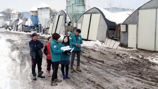 NSP통신-김보라 시장이 폭설 피해 현장을 살펴보고 있다. (사진 = 안성시)