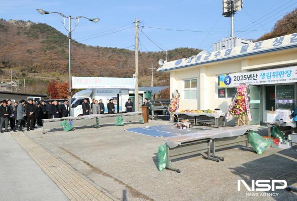 NSP통신-고흥군은 17일 도화면 발포위판장에서 2025년산 생김 위판장 개장식을 개최하고 본격적인 생산에 돌입했다 (사진 = 고흥군)