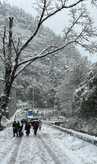 NSP통신-18일 새벽부터 대설경보가 발효된 가운데, 울릉중학교 통학버스가 대책없이 학생들을 싣고가다 경사로에서 올라가지 못해 모두 버스에서 내려 40분 이상을 도보등교하고 있다. (사진 = 독자제공)