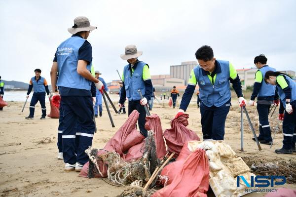 NSP통신-포스코퓨처엠 임직원들이 지난 9월 나눔의 달을 맞아 포항 청림해변에서 해양 쓰레기 수거활동을 진행하고 있다. (사진 = 포스코퓨처엠)