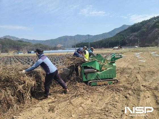 NSP통신- (사진 = 진안군)