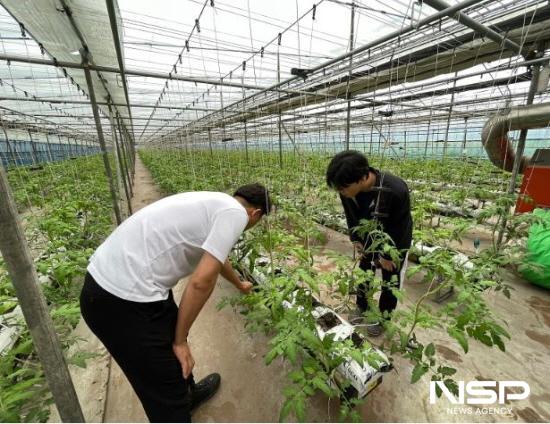 NSP통신-생육 환경 데이터 기반해 농가 맞춤형 컨설팅 (사진 = 광양시청)