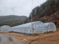 [NSP PHOTO]봉화군, 동절기 농작물 및 농업 시설물 관리 당부
