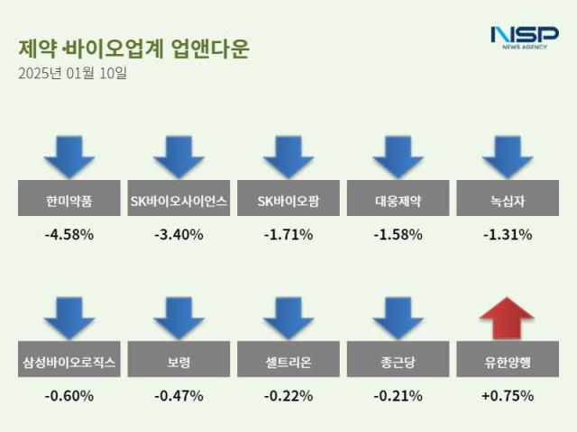 NSP통신- (이미지 = 이봄볕 기자)