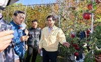 [NSP PHOTO]영덕군, 2025년 과수산업 육성에 28억 투입