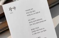 [NSP PHOTO]안동시, 광복 80주년 기념 이육사체 무료 배포