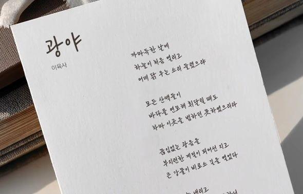 [NSP PHOTO]안동시, 광복 80주년 기념 이육사체 무료 배포