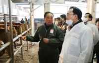 [NSP PHOTO]나주시,  60두 이하 한우농가에 사료비 최대 54만원 지원