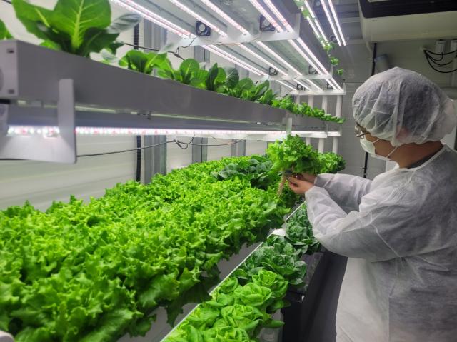 NSP통신-스마트팜 수직 농장 (사진 = 고양시)
