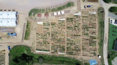 [NSP PHOTO]용인특례시 도심 속 체험 도시농부 815팀 모집